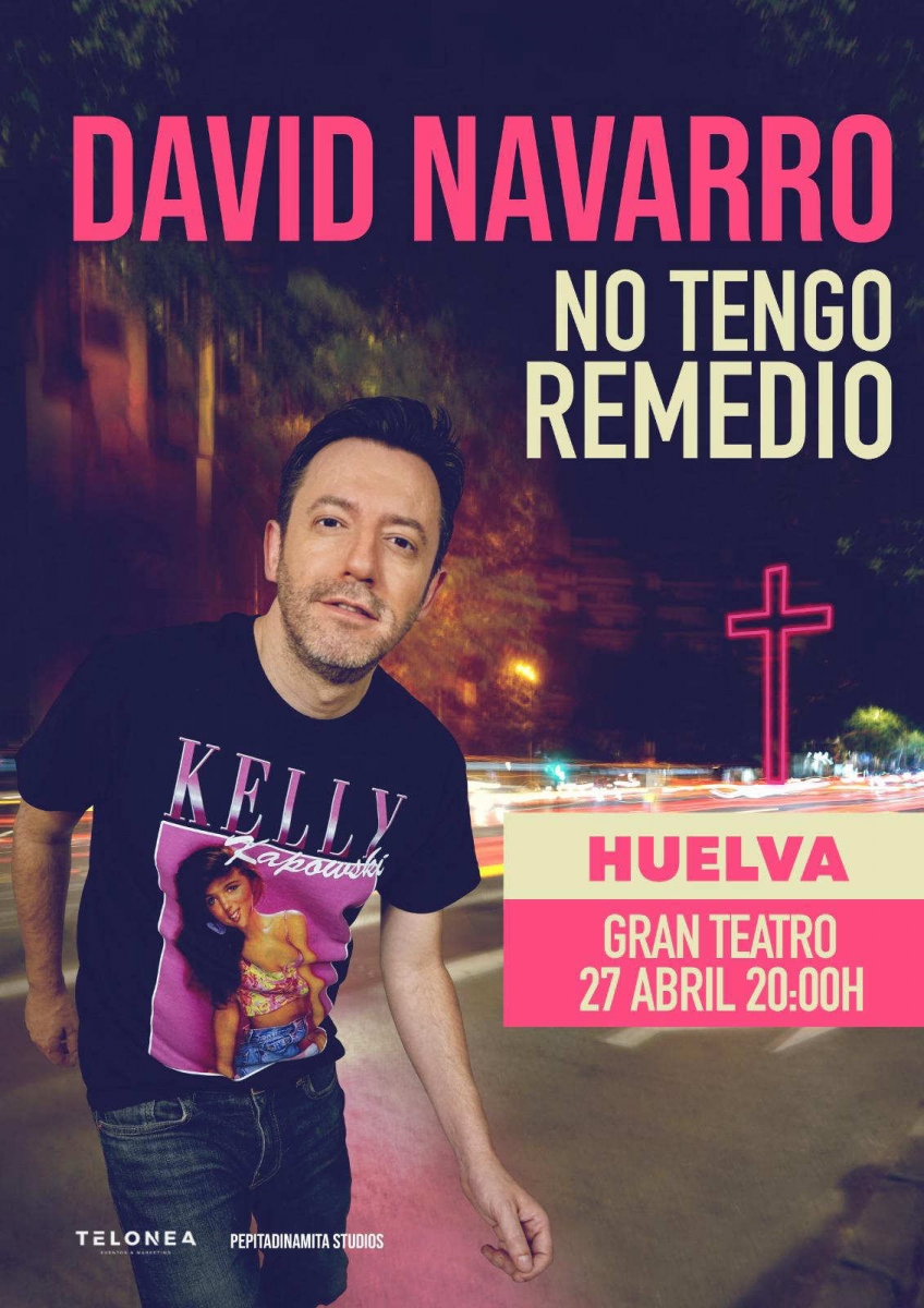 David Navarro no tengo remedio