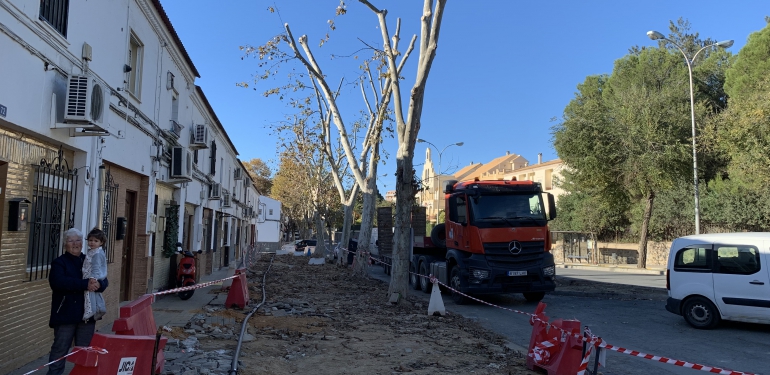 Retirada árboles avenida Santa Marta